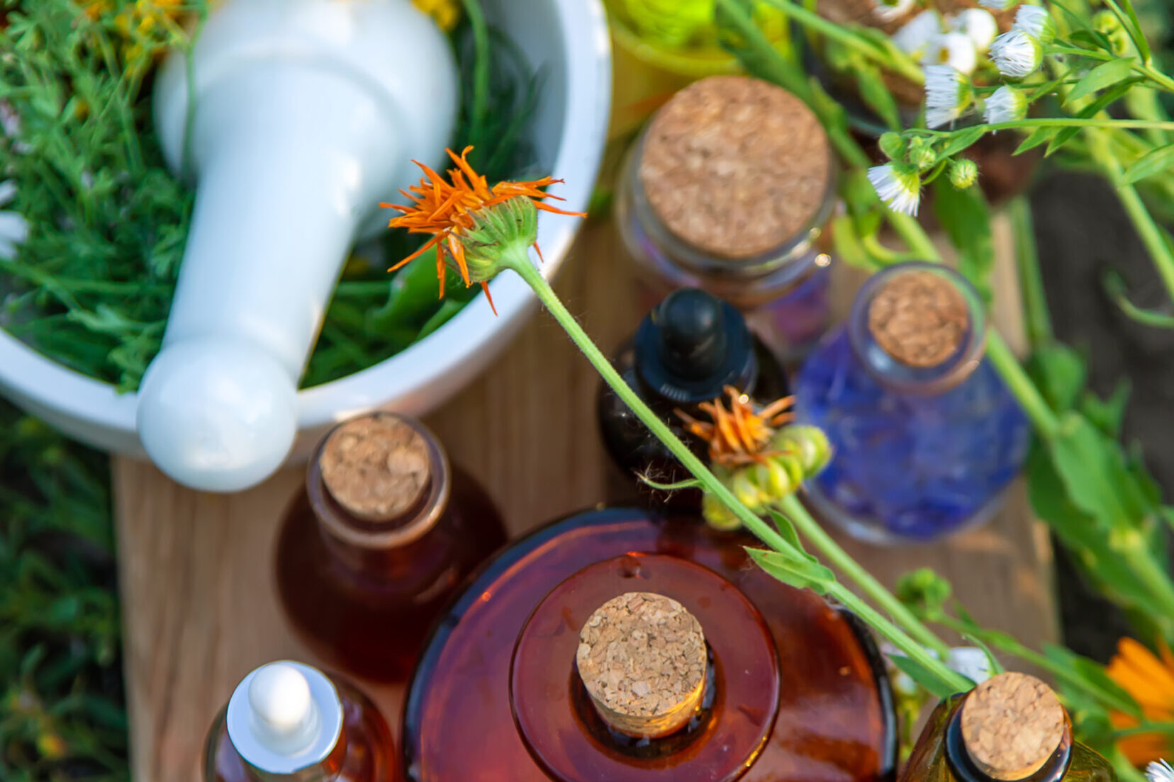 Medicinal herbs and tinctures alternative medicine. Selective focus.