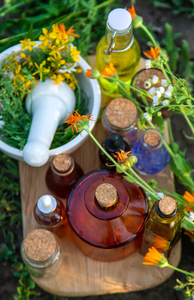 Medicinal herbs and tinctures alternative medicine. Selective focus.